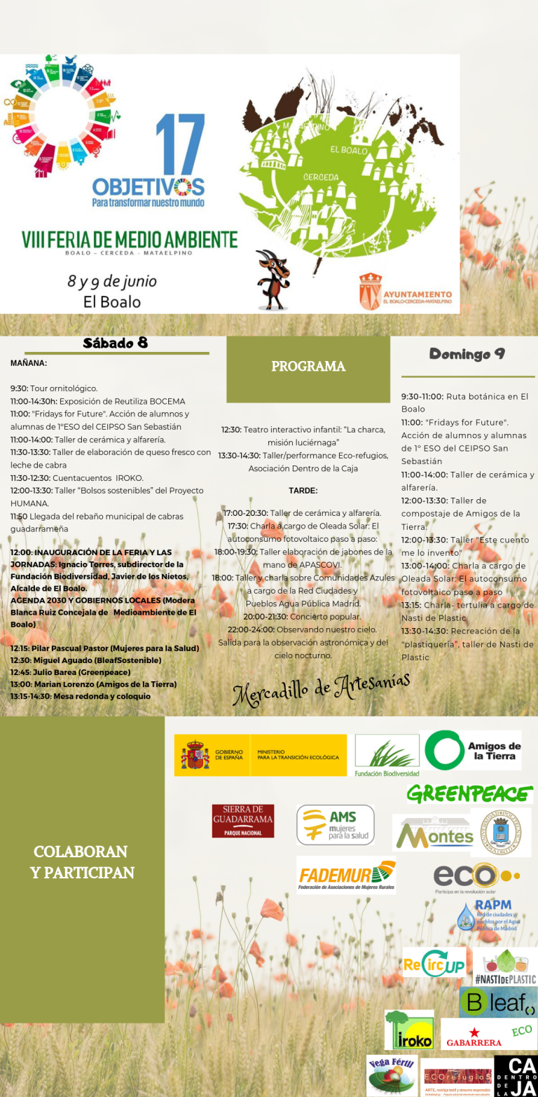 Feria de Medio Ambiente BOCEMA
